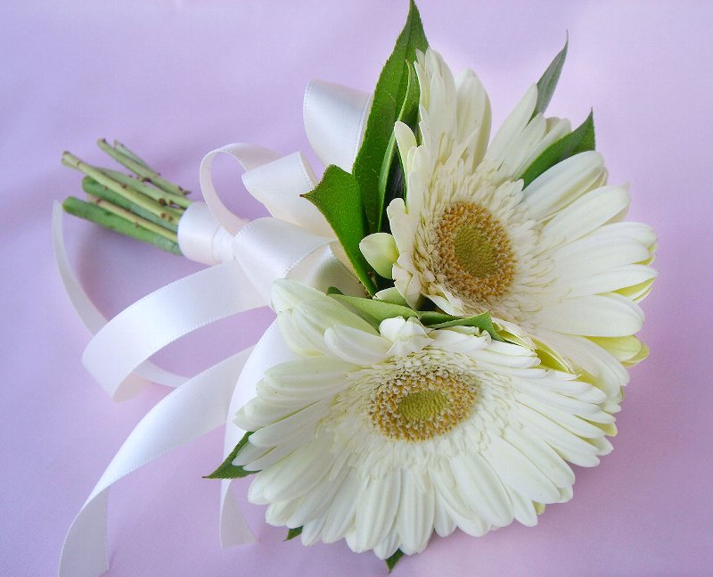 wedding flowers daisy